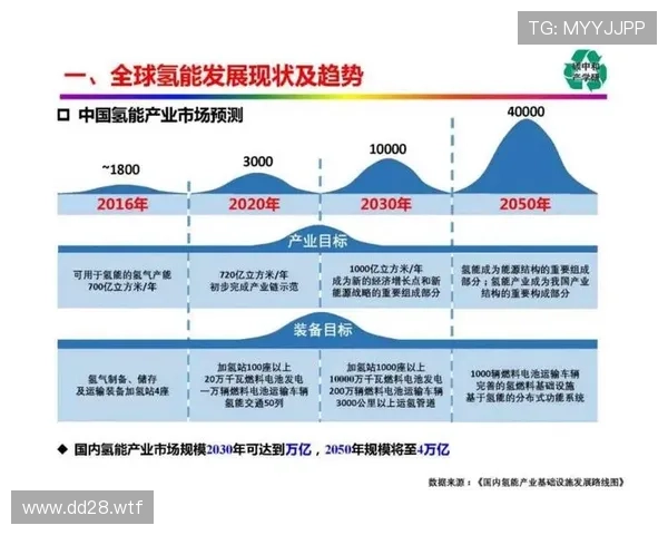 全面解析888集团电子业务发展与未来趋势